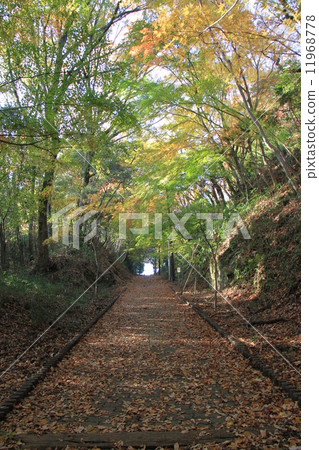 Tohin Nobuki電纜廢物痕跡 Tohin Nobuki電纜廢物痕跡 11968778