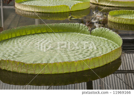 Ohio Bonus Ohio Bonus 11969166