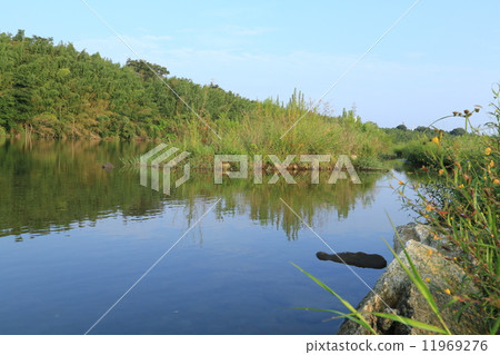 Summer Yahagi river Summer Yahagi river 11969276