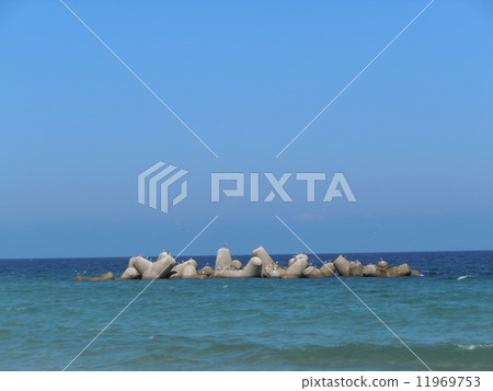 Marine cat (Ota City, Shimane prefecture) Marine cat (Ota City, Shimane prefecture) 11969753