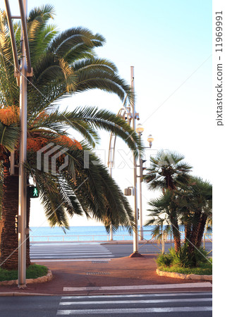 美好的早晨海岸線和海 11969991