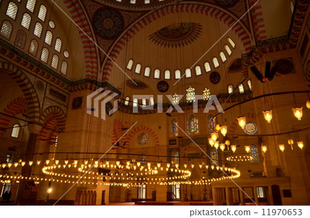 Suleimanie Jaumey 11970653