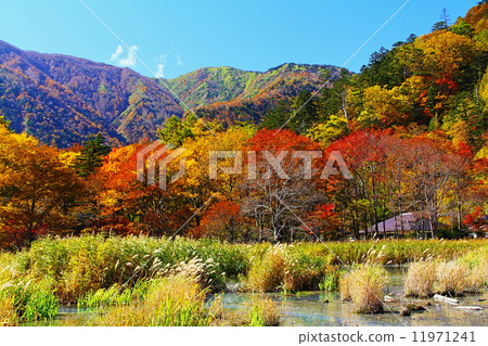 Nikko Yumoto秋葉 11971241