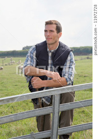 Shepherd in field Shepherd in field 11972728