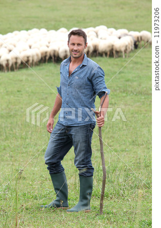 Shepherd in field Shepherd in field 11973206