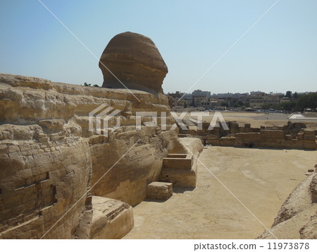 獅身人面像所見的風景 11973878