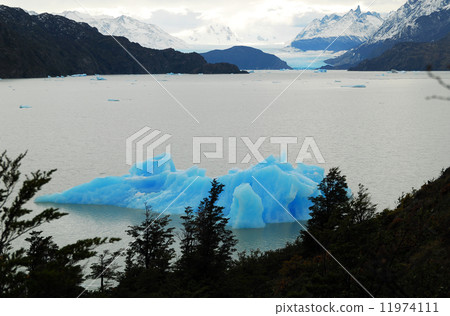 Chile Gray Lake Iceberg 11974111