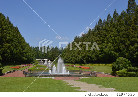 神奈川縣相模原公園法式花園9月 11974539