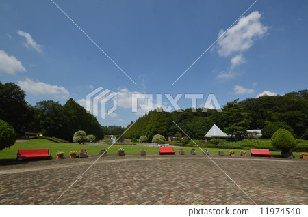 神奈川縣相模原公園法式花園9月 11974540