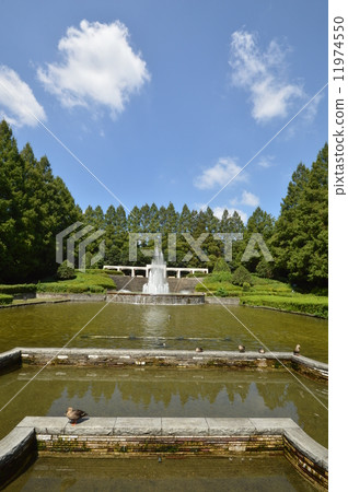 神奈川縣相模原公園法式花園9月 11974550