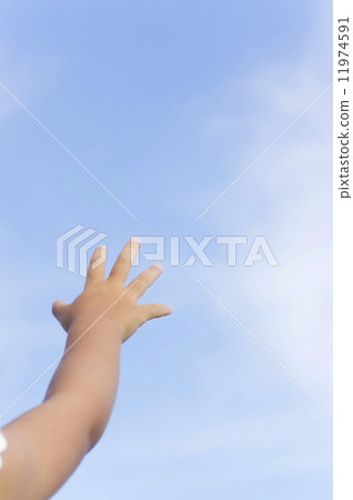 不要去。 不要去。 11974591