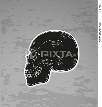 black skull 11974788