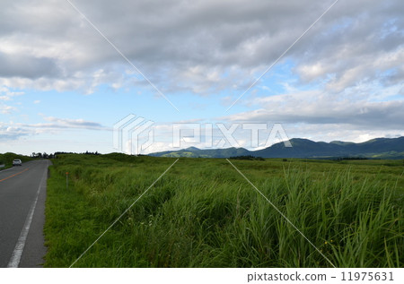 Yamanami highway going through the vast Aso caldera 11975631