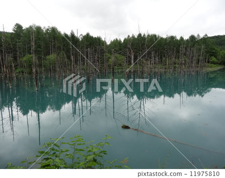 Blue pond 11975810