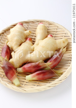 Mioga and ginger 11975811