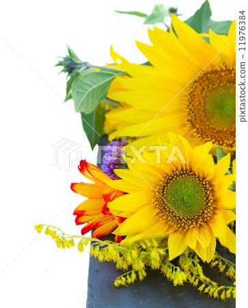 posy of mixed autumn flowers posy of mixed autumn flowers 11976384
