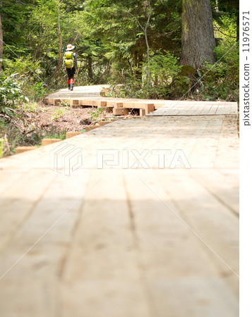 木路和山地女孩 11976571