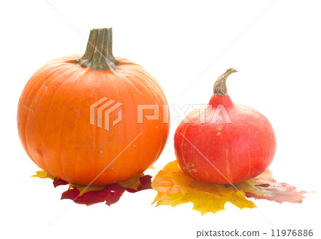 two pumpkins 11976886