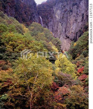 Kon Fu Yonago Otaki Kon Fu Yonago Otaki 11977113