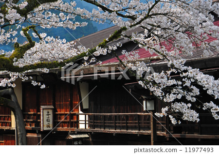 Spring of Wife Hostel Spring of Wife Hostel 11977493