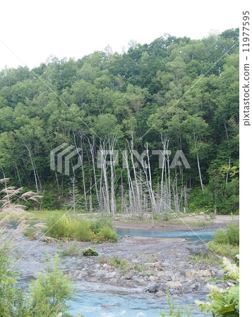 Bieigawa Bieigawa 11977595