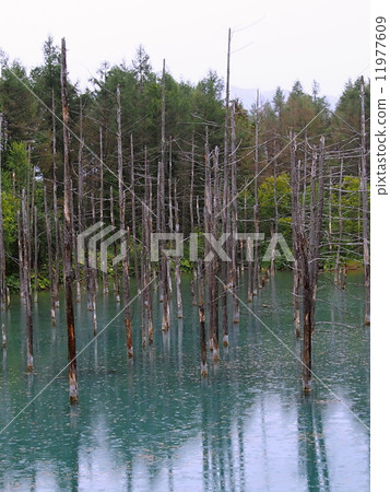 Blue pond Blue pond 11977609