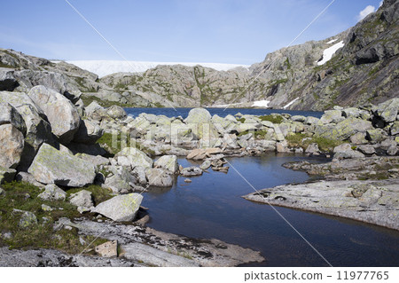 Svelgabreen glacier (Folgefonna National Park, Hordaland county, 11977765
