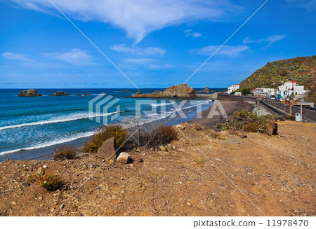 Coast in Tenerife island - Canary Spain 11978470