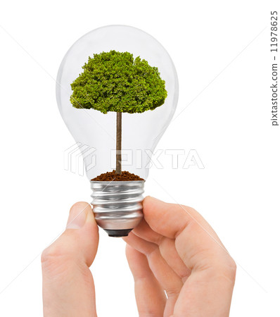 Hand with bulb and tree Hand with bulb and tree 11978625