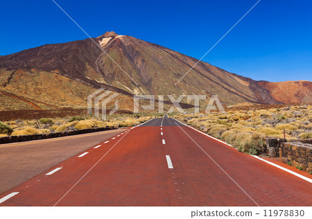Road to volcano Teide at Tenerife island - Canary 11978830