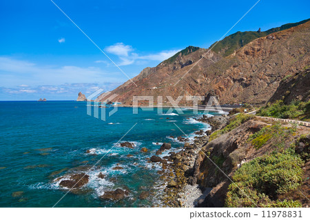 Coast in Tenerife island - Canary Spain Coast in Tenerife island - Canary Spain 11978831