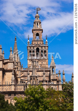 Cathedral La Giralda at Sevilla Spain 11978836