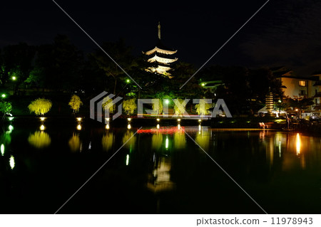 Sarusawa池塘亮起來 11978943