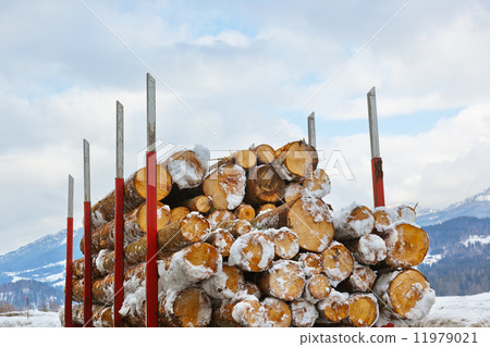 Chopped firewood logs in a truck 11979021