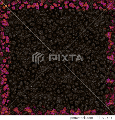 Symmetrical growth of bacteria 11979383