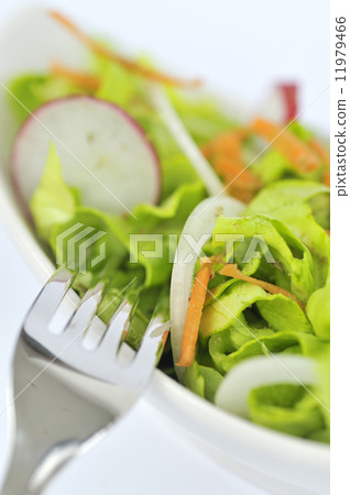 Healthy Salad 11979466