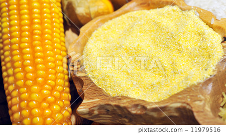 corn seeds and flour corn seeds and flour 11979516
