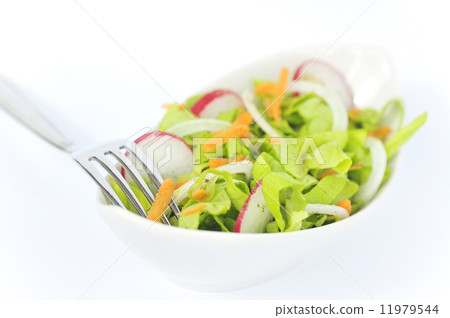 Healthy Salad 11979544