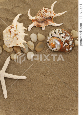 shells and stones on sand 11979571