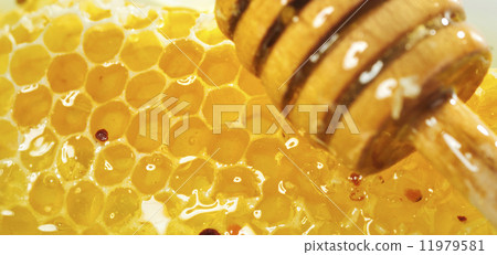 honey, pollen and honey dropper honey, pollen and honey dropper 11979581