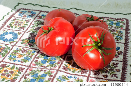 red fresh tomatoes on a kitchen towel 11980344