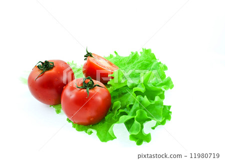 two and half red tomatos on leaves of lettuce 11980719