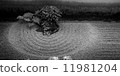 Rock garden 11981204