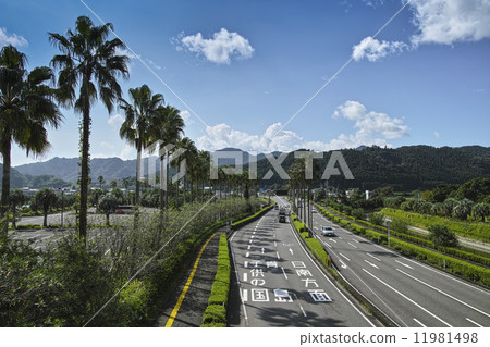 Miyazaki City 11981498