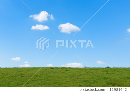 草原和藍天 11981642
