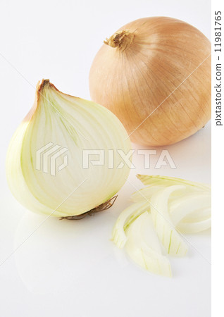 Yellow onion 11981765