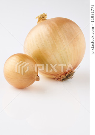 Yellow onion 11981772