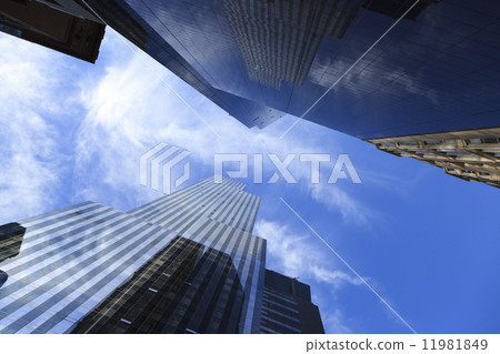 skyscraper skyscraper 11981849