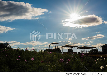 四季諾羅科和太陽 四季諾羅科和太陽 11982123