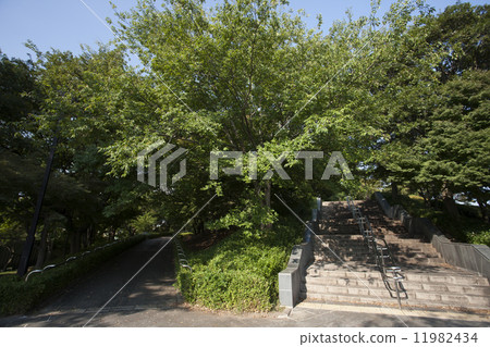 Oshima Komatsugawa Park Oshima Komatsugawa Park 11982434